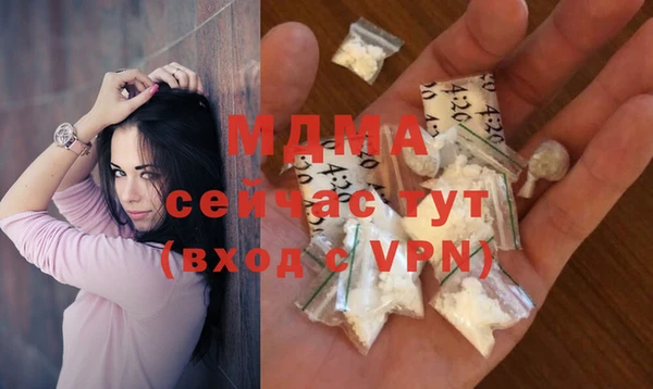 гашик Тында